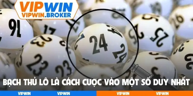 Bạch thủ lô là cách cược vào một số duy nhất