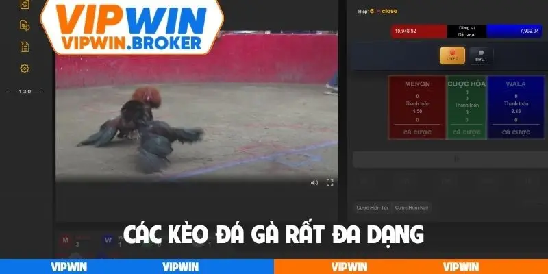 Các kèo đá gà rất đa dạng