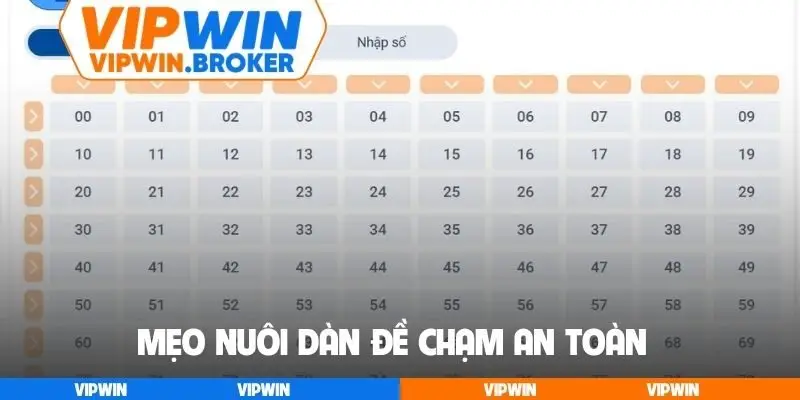 Mẹo nuôi dàn đề chạm an toàn