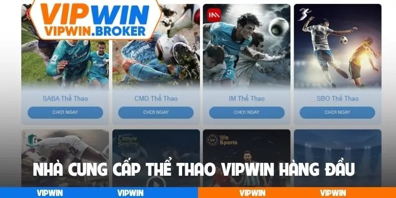 Nhà cung cấp thể thao VIPWIN hàng đầu