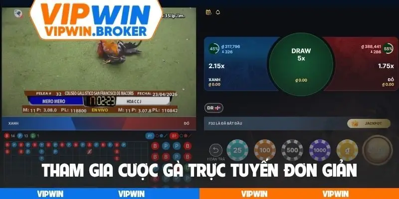 Tham gia cược gà trực tuyến đơn giản