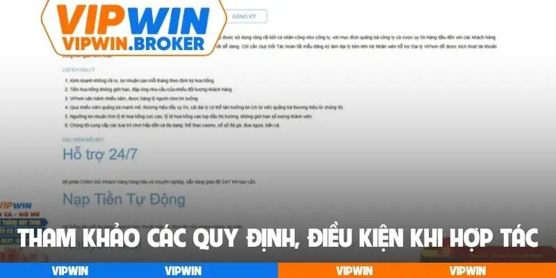 Tham khảo các quy định, điều kiện khi hợp tác