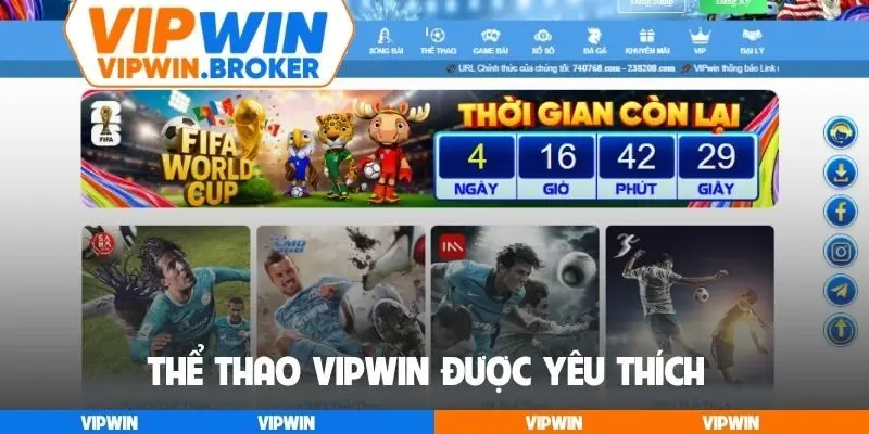 Thể thao VIPWIN được yêu thích