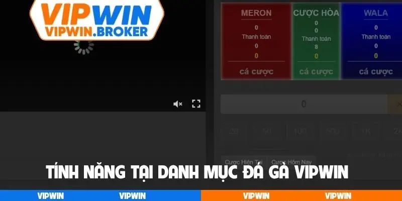 Tính năng tại danh mục đá gà VIPWIN