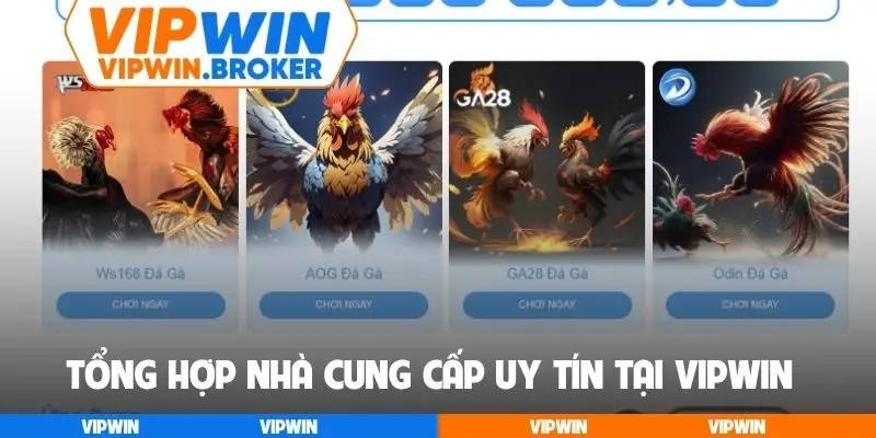 Tổng hợp nhà cung cấp uy tín tại VIPWIN