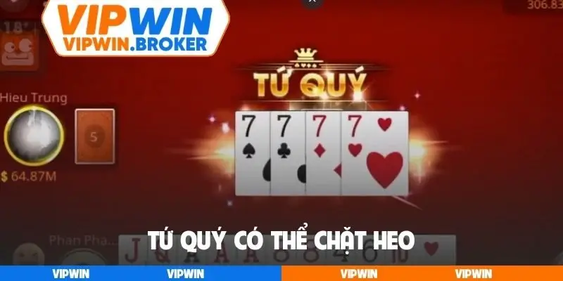 Tứ quý có thể chặt heo
